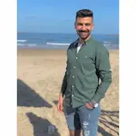محمد محسن