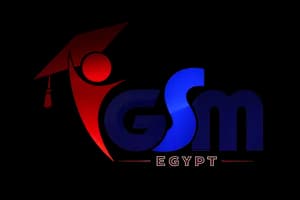 GSM International Academy